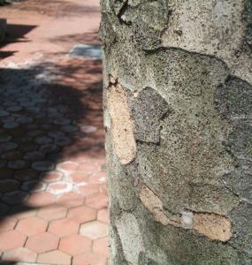 100_0667_cropped_web