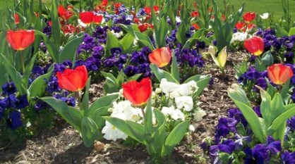 100_0705_cropped_web