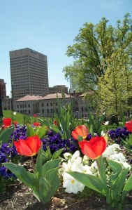 100_0706_cropped_web