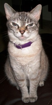 100_0452_cropped_doc