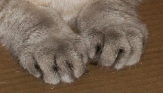 100_0521_cropped_doc