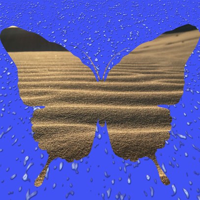 butterfly-desert-dropets