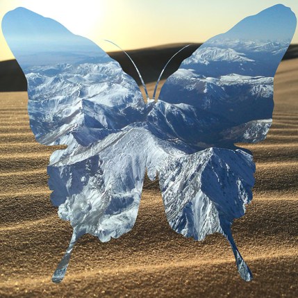 butterfly-mountains-desert