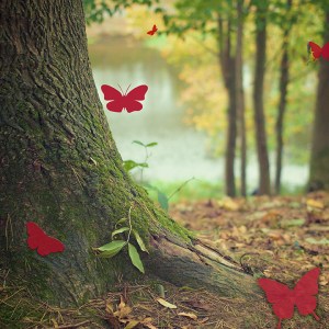 day-5-un-hidden-butterflies