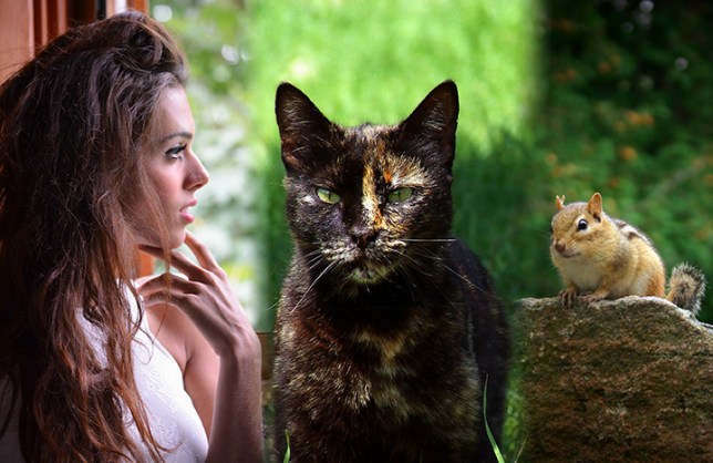 three-perspectives-cover_web